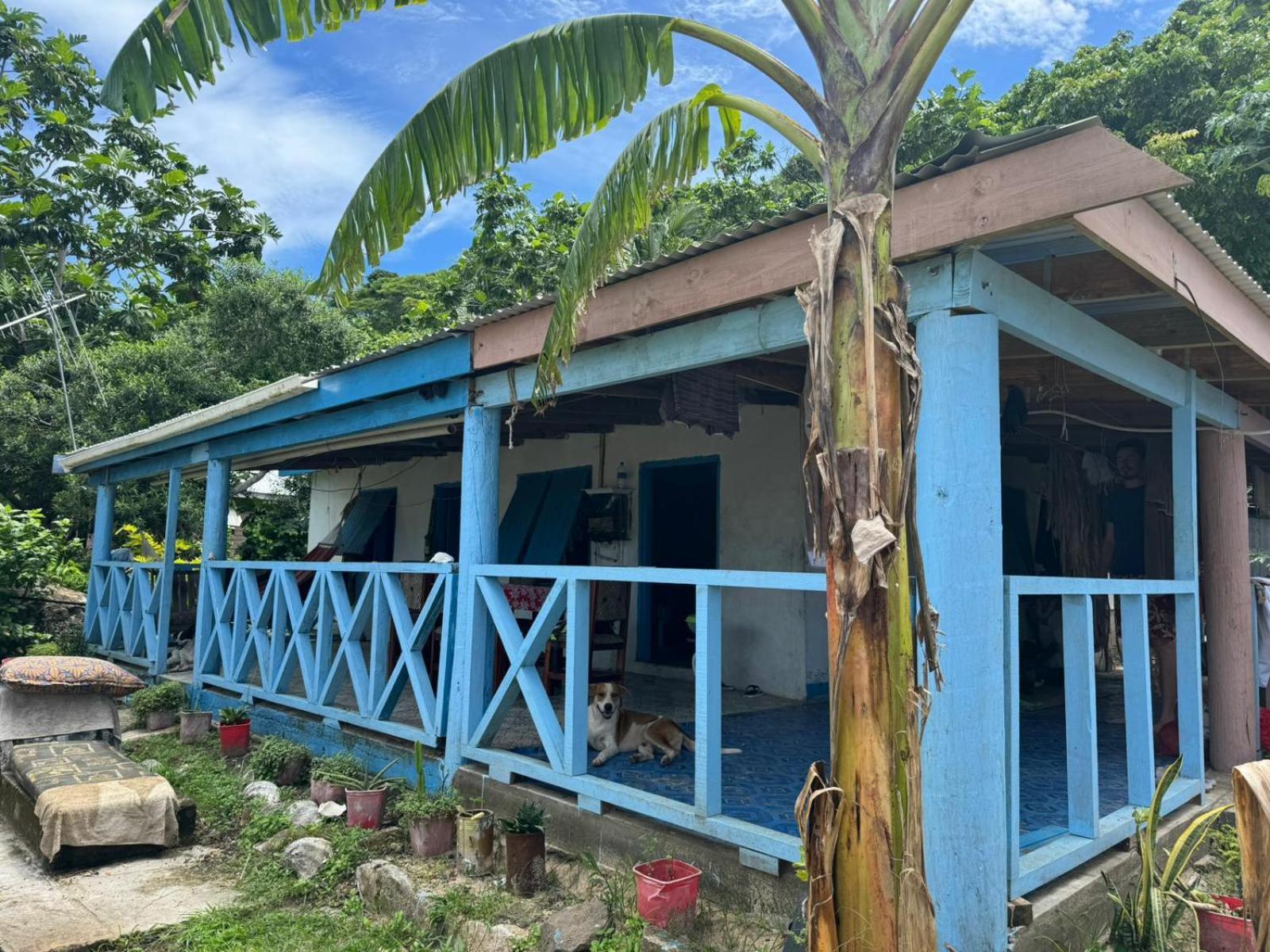 Lusis Homestay Лаутока Экстерьер фото
